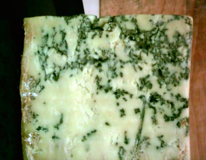Bolor na fabricação de queijo Brie e Camembert (Penicillium camemberti)
