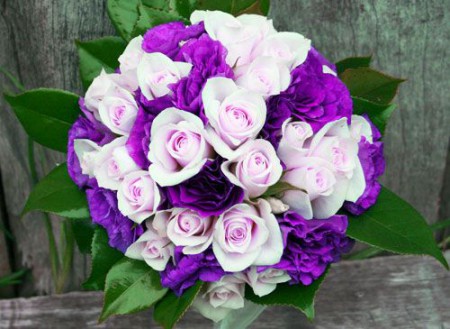 Lisianthus roxo