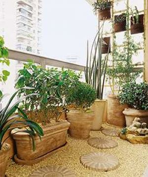 Plantas em varanda de apartamento