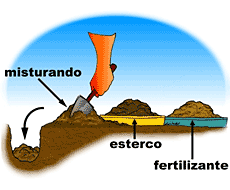 arbustos04