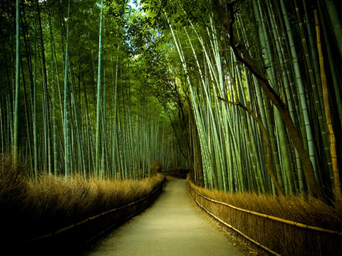 bambuzal
