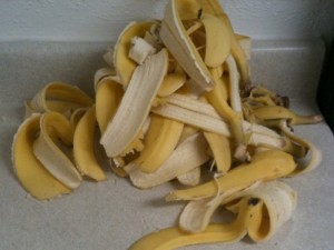 banana_casca