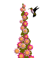 beija-flor