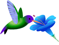 bird5