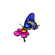 borboleta-flor