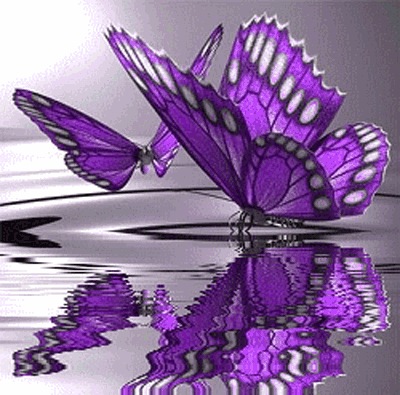borboleta lilás