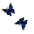 borboletas azuis