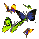 borboletas