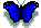 borboletinha azul