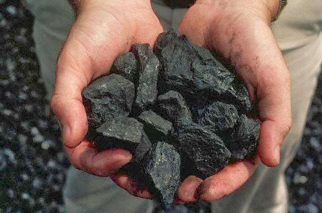 carvão-vegetal