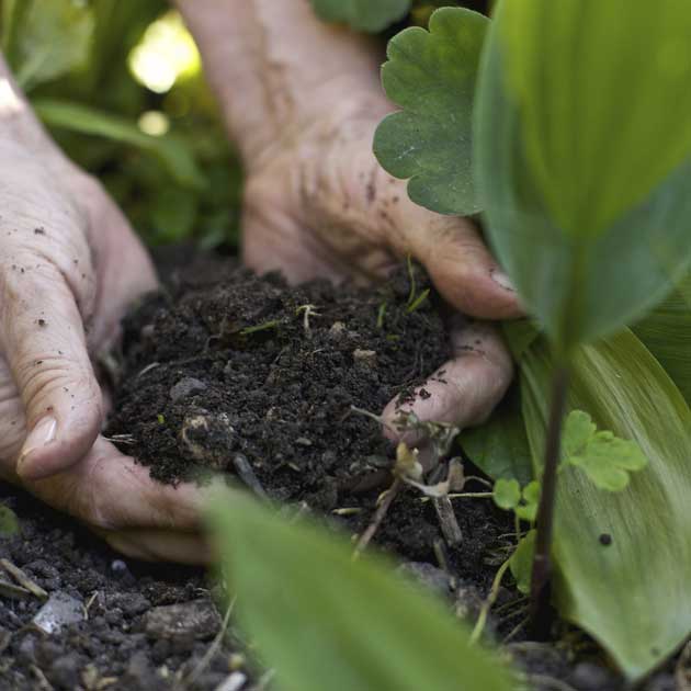 compostagem-adubo