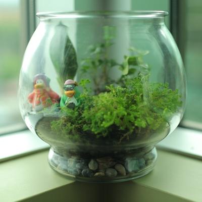 craft-terrarium