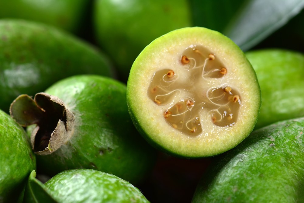 feijoa-2