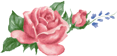 flores41 flores41