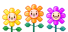 flower-trio
