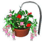 flowerbasket3