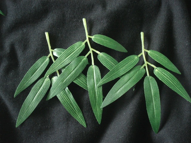 folha-de-bambu-mosso