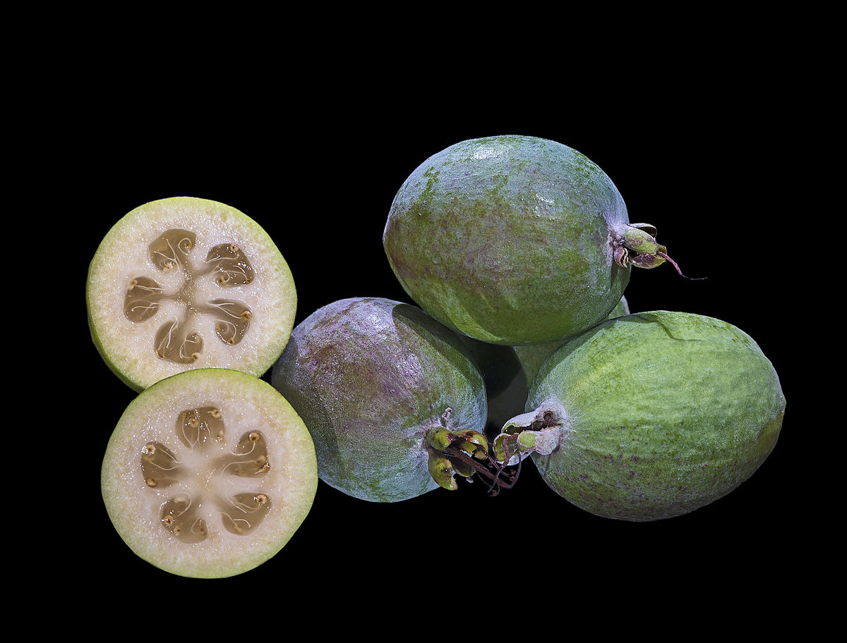 frutos da Feijoa