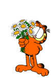 garfield_-11926