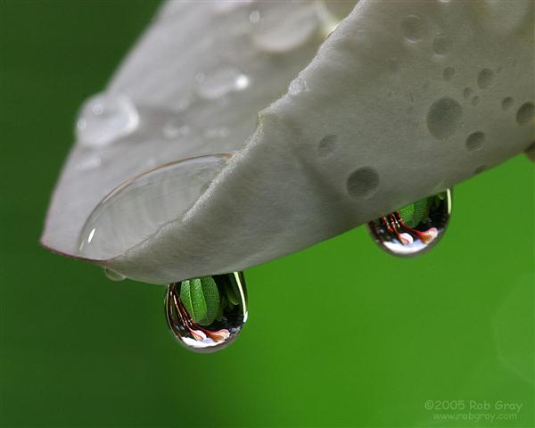 gota-de-Agua