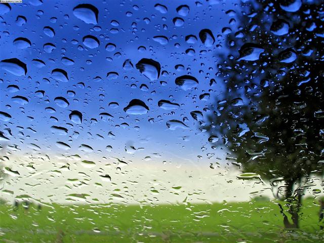 gotas