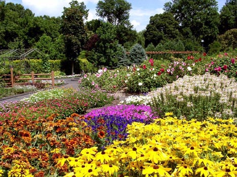 jardim-com-flores