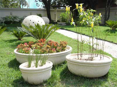 jardim externo