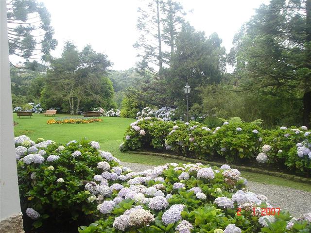 jardim florido (Small)