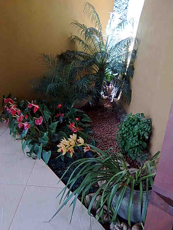 jardim interno