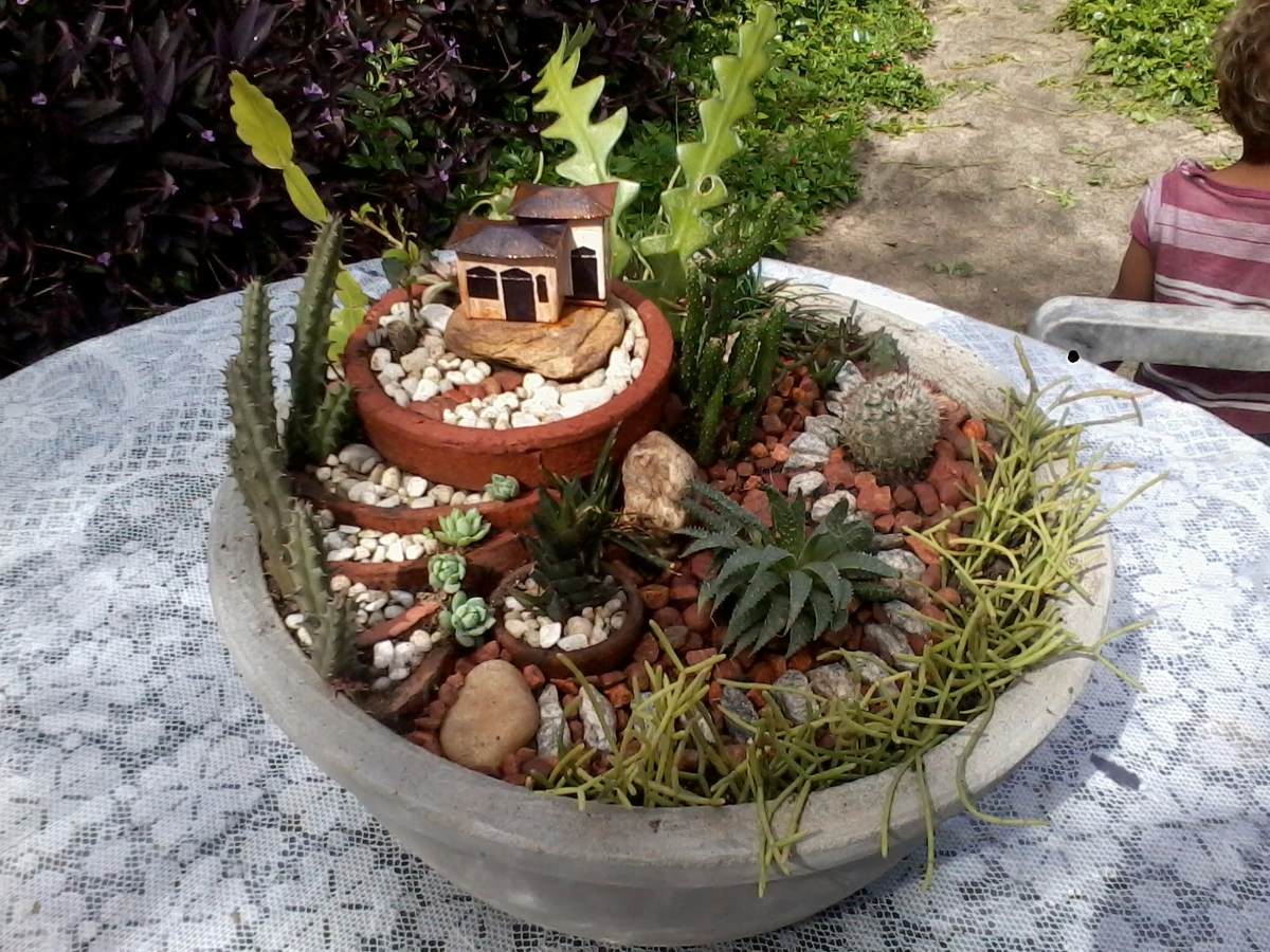 jardim miniatura