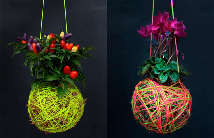 kokedama_2