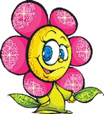margaridinha-rosa margaridinha-rosa