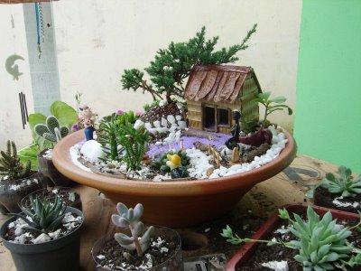 mini-jardim-