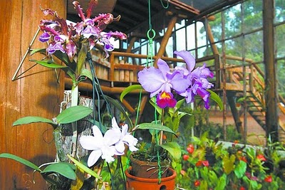 orquidario