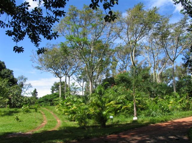 paisagismo rural (Small)