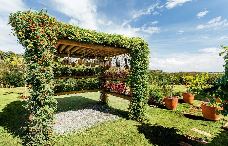 pergola]