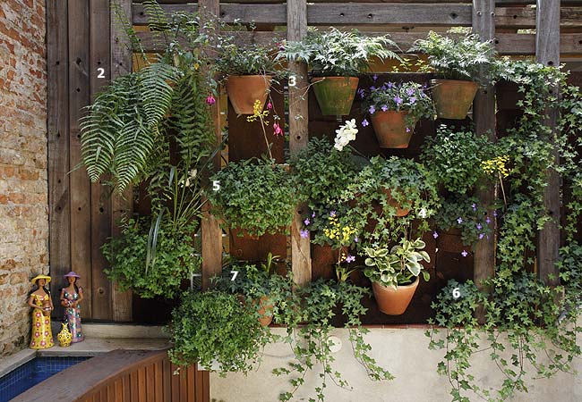 plantas-