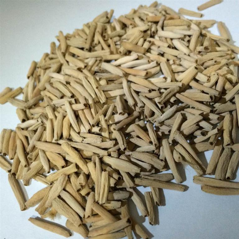 sementes de Adenium-Obesum 