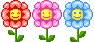 trio-de-florzinhas