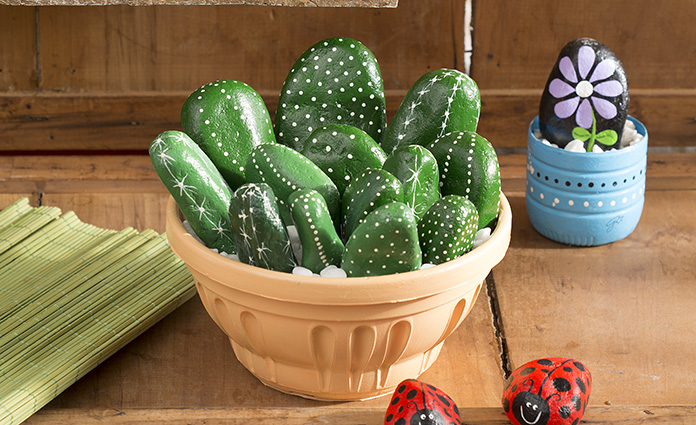 vaso-cactus