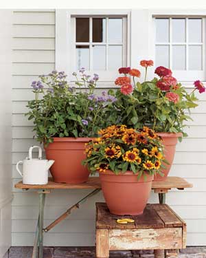 vaso com flores