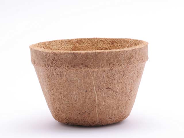 vaso fibradecoco