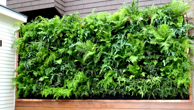 vertical garden