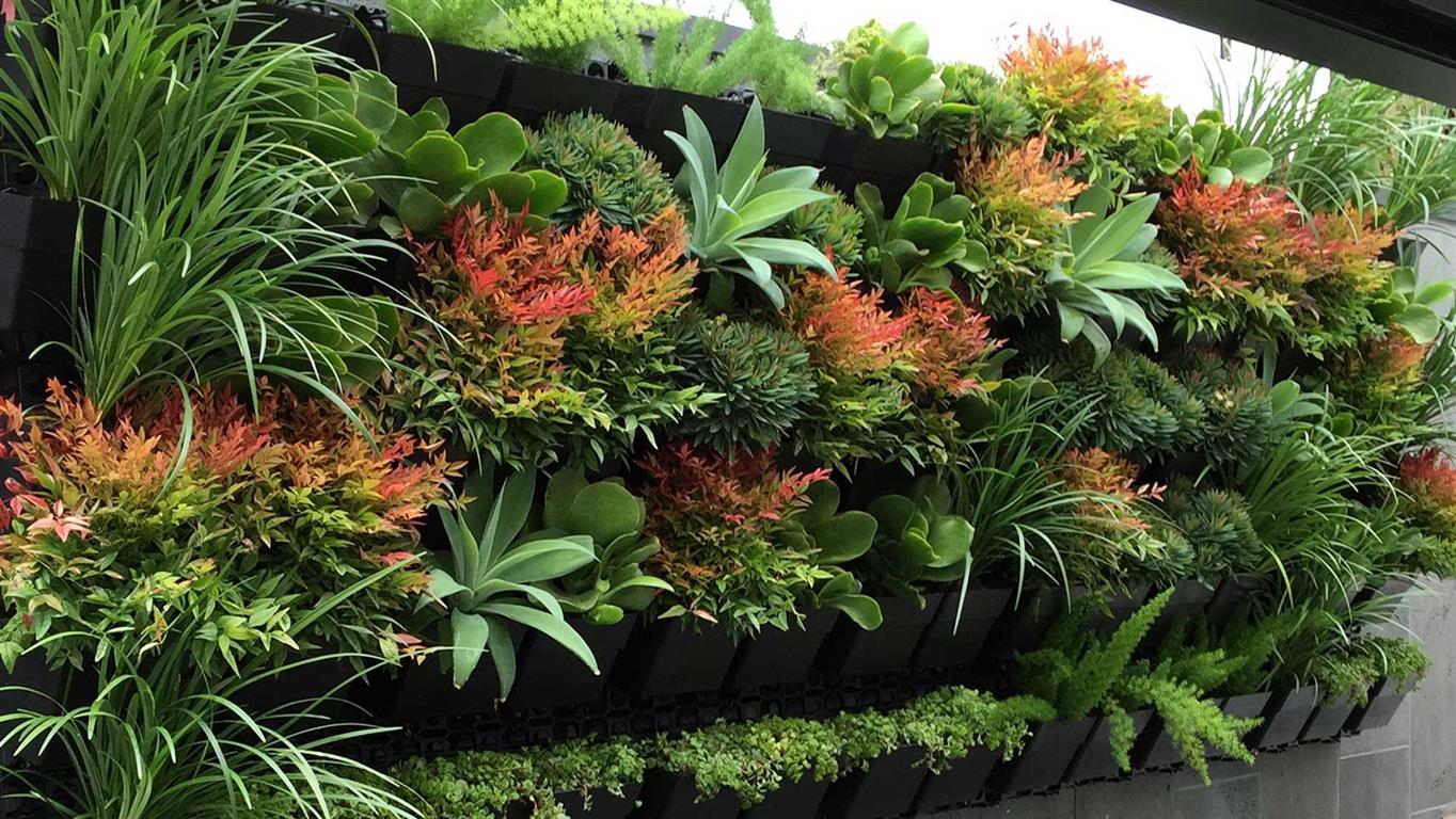 verticalgarden_c--