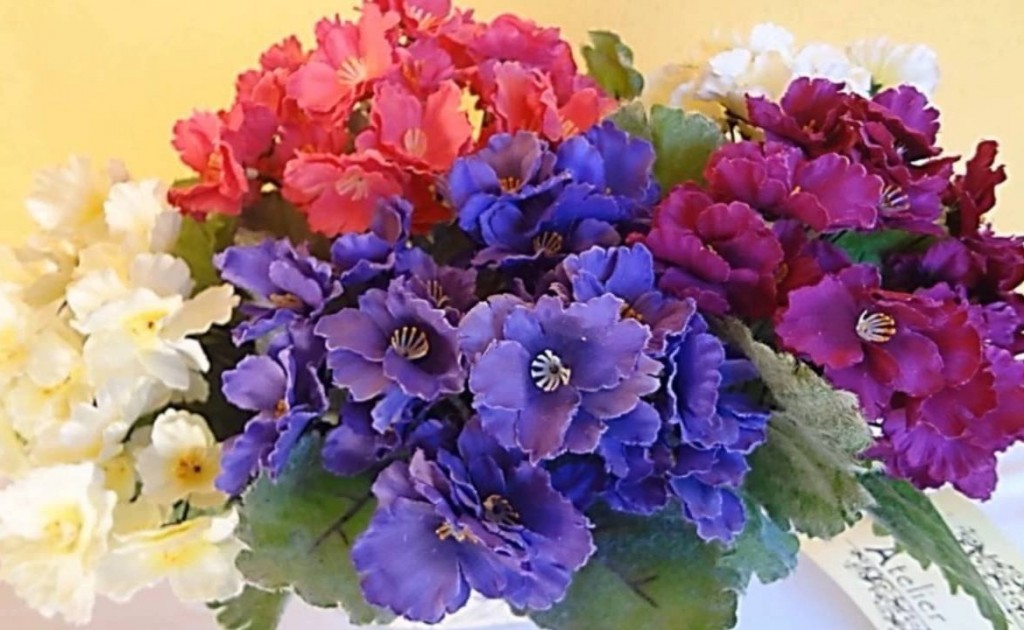 violetas