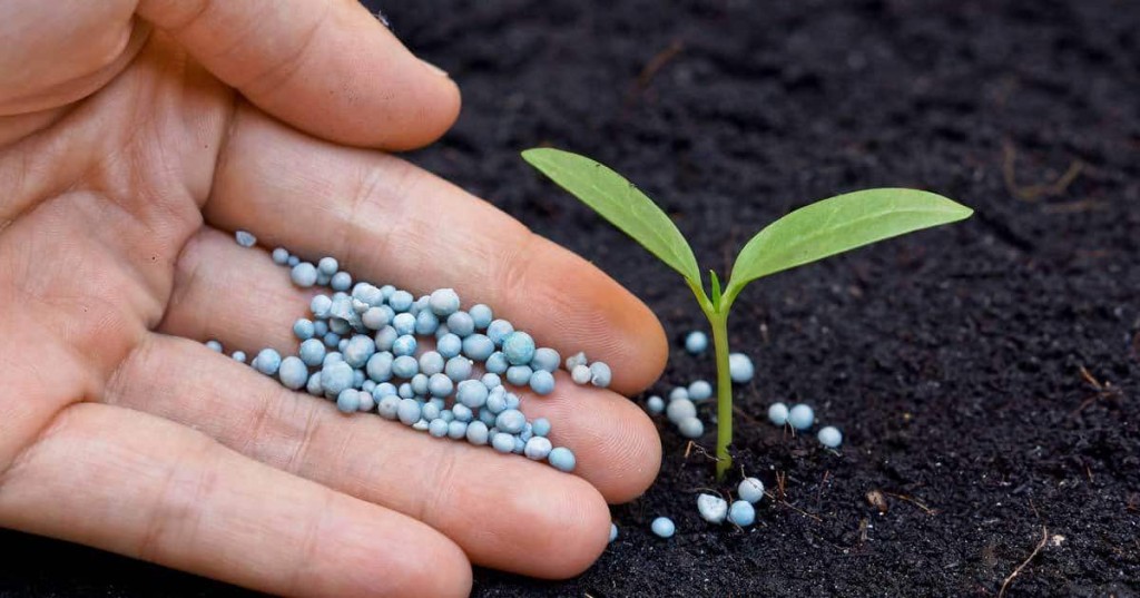 fertilizantes