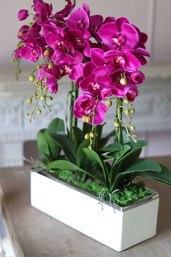 vaso-de-orquidea-