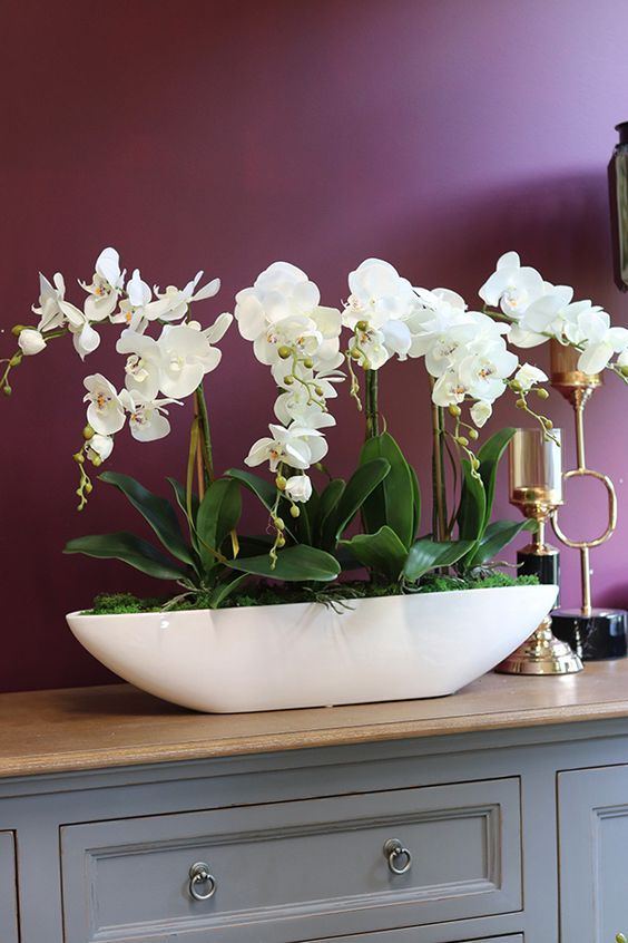 vaso para orquídea